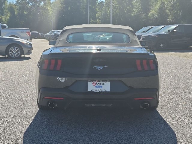 Used 2024 Ford Mustang Premium RWD image 4