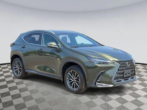 Used 2024 Lexus NX 350h AWD image 1