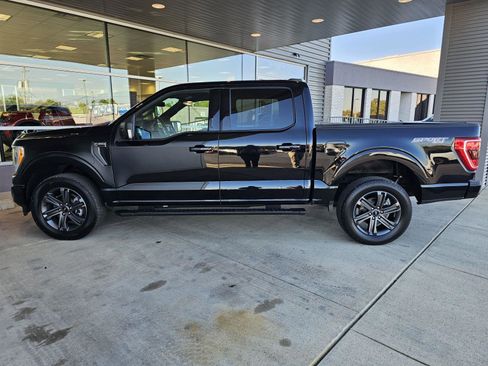 Used 2023 Ford F150 XLT w/ Equipment Group 302A High image 2