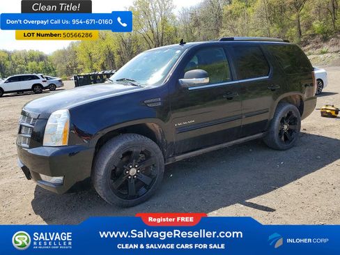 Used 2013 Cadillac Escalade Premium AWD/4WD image 1