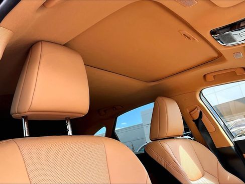 Used 2025 Lexus NX 350h AWD w/ Cold Area Package image 14