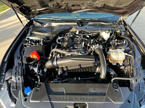 Used 2024 Ford Mustang Coupe RWD image 15