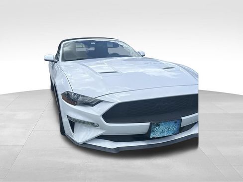 Used 2019 Ford Mustang Premium w/ Black Accent Package RWD image 2