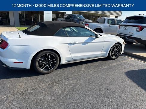 Used 2022 Ford Mustang Premium w/ Equipment Group 201A RWD image 5