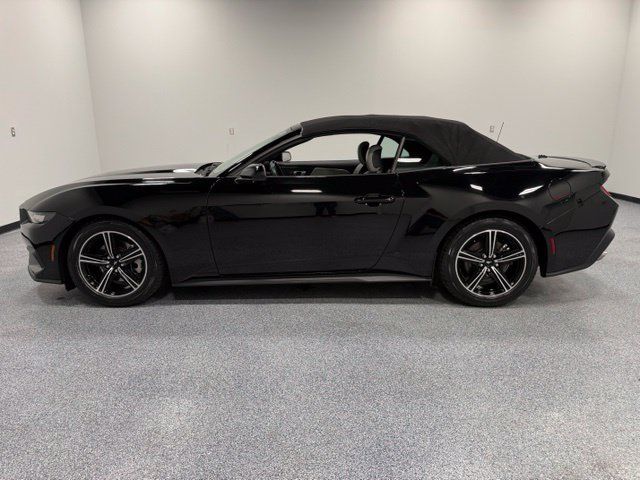 Used 2024 Ford Mustang Premium RWD image 5