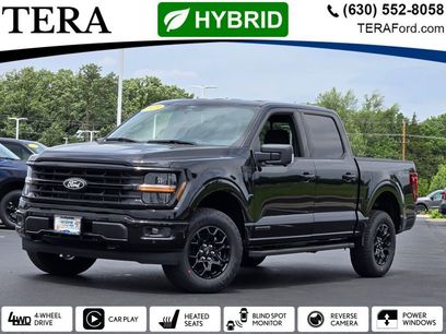 New 2025 Ford F150 XLT w/ Equipment Group 302A MID