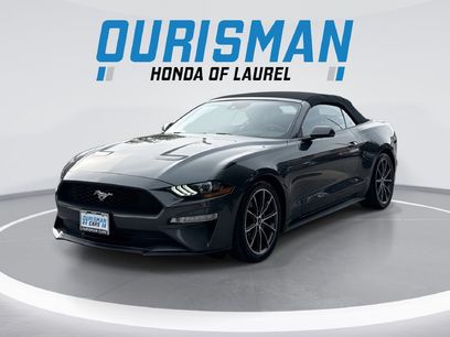 Used 2019 Ford Mustang Premium w/ Equipment Group 201A