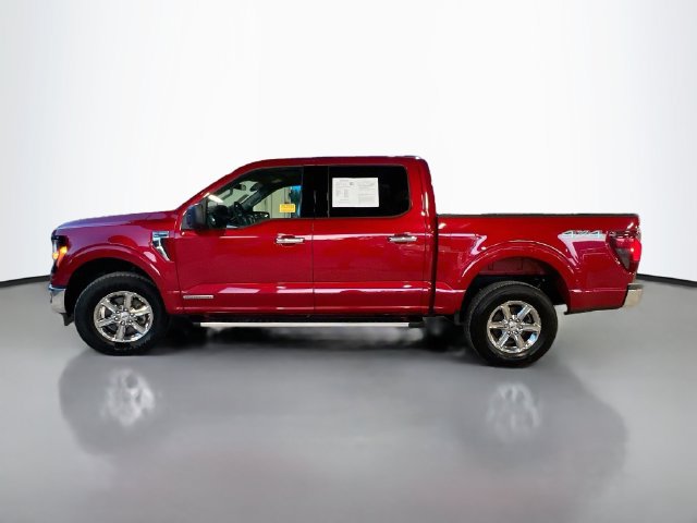 Used 2025 Ford F150 XLT w/ Equipment Group 301A Standard AWD/4WD image 5