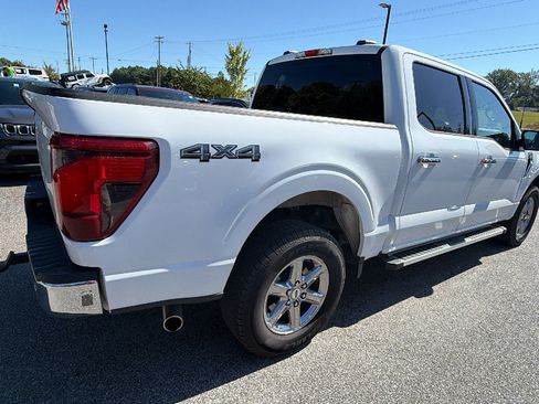 Used 2025 Ford F150 XLT w/ Equipment Group 301A Standard AWD/4WD image 8