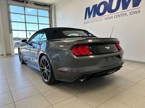 Used 2019 Ford Mustang Premium w/ Equipment Group 201A RWD image 6