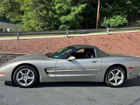 Used 2000 Chevrolet Corvette Convertible RWD image 3
