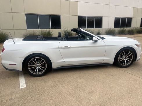 Used 2017 Ford Mustang Premium image 10