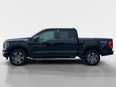 Used 2023 Ford F150 XL w/ STX Appearance Package AWD/4WD image 2