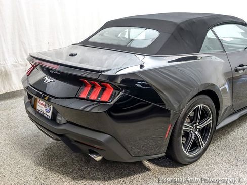 Used 2025 Ford Mustang Premium RWD image 9