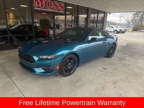 New 2026 Ford Mustang Coupe w/ Mustang Nite Pony Package RWD image 1