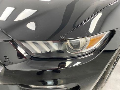 Used 2017 Ford Mustang Shelby GT350 image 11