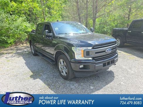 Used 2019 Ford F150 XLT w/ Equipment Group 302A Luxury AWD/4WD image 1