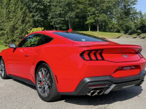 Used 2024 Ford Mustang Premium w/ 2.3L High Performance Package RWD image 6