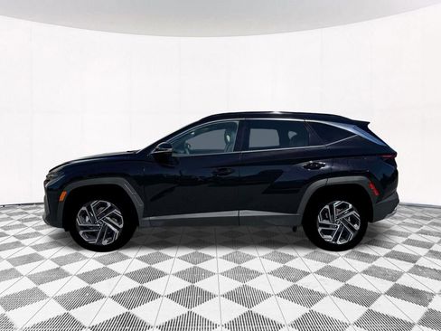 New 2026 Hyundai Tucson Limited AWD/4WD image 3