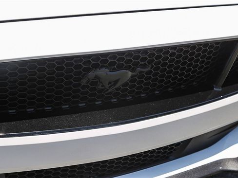 Used 2019 Ford Mustang GT Premium w/ Ford Safe & Smart Package image 10