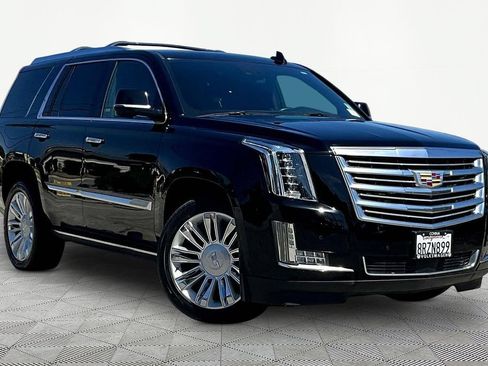 Used 2020 Cadillac Escalade Platinum AWD/4WD image 1