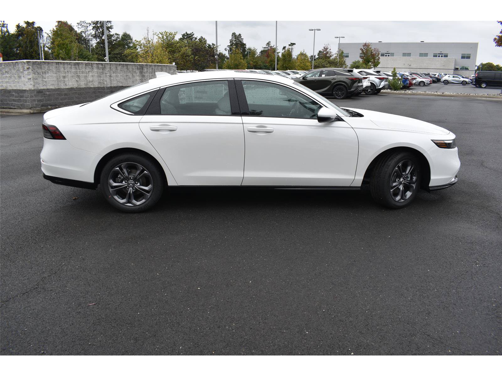 New 2026 Honda Accord Hybrid EX-L image 8