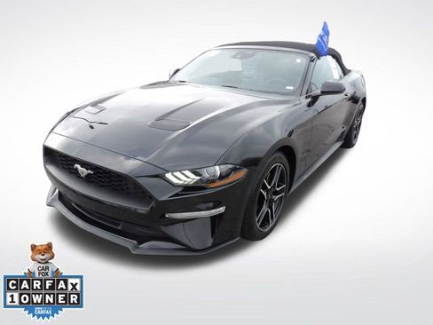 Certified 2023 Ford Mustang Premium image 3