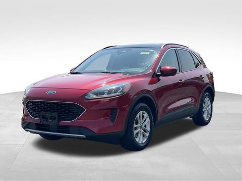 Used 2020 Ford Escape SE AWD/4WD image 2