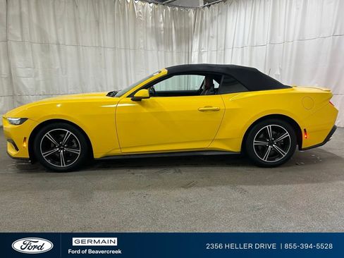 Used 2024 Ford Mustang Premium image 5