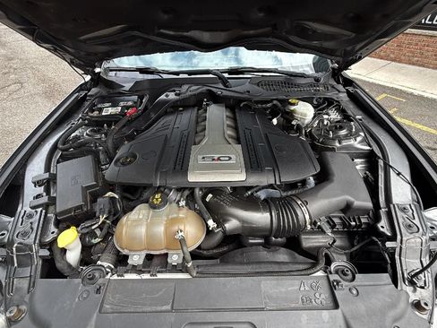 Used 2018 Ford Mustang GT w/ Equipment Group 301A RWD image 34