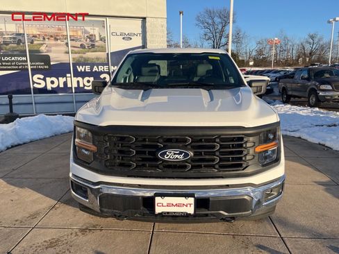 New 2025 Ford F150 XL w/ Equipment Group 103A High image 2