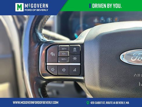 Used 2024 Ford F250 Platinum w/ Tremor Off-Road Package AWD/4WD image 28