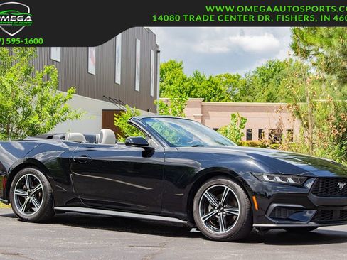 Used 2024 Ford Mustang EcoBoost Premium Convertible 2 RWD image 1