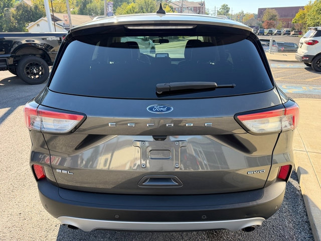 Used 2020 Ford Escape SEL AWD/4WD image 5
