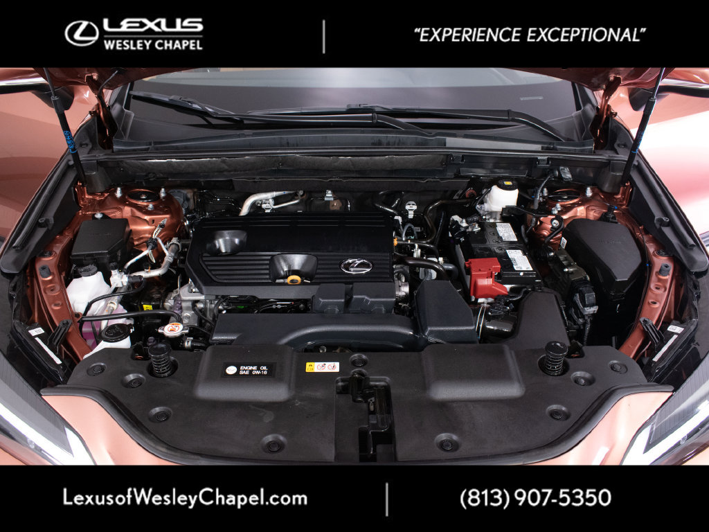 Used 2025 Lexus NX 250 FWD w/ Accessory Package (2T) image 10