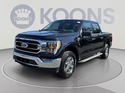 Used 2023 Ford F150 XLT w/ Equipment Group 302A High