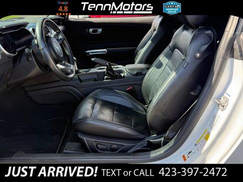 Used 2021 Ford Mustang GT Premium w/ Equipment Group 401A RWD image 10