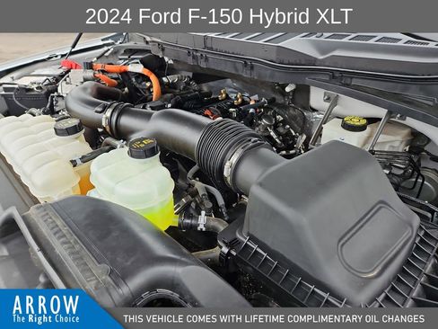 Used 2024 Ford F150 XLT w/ Equipment Group 302A MID AWD/4WD image 15