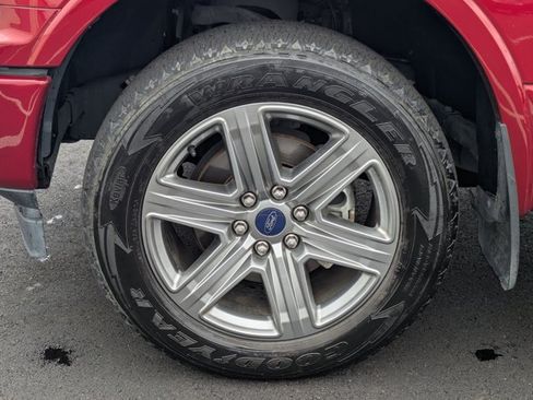 Used 2019 Ford F150 XLT w/ Equipment Group 302A Luxury AWD/4WD image 24