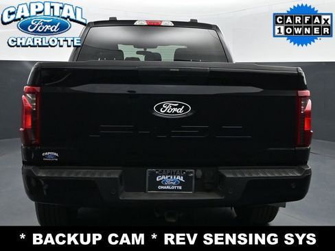 Used 2024 Ford F150 STX w/ STX Black Appearance Package image 7