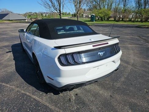Used 2019 Ford Mustang Premium image 3