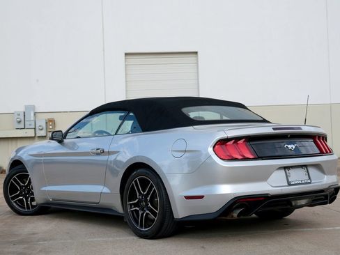 Used 2019 Ford Mustang Premium RWD image 4