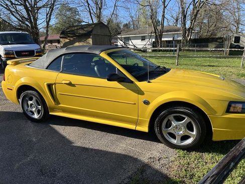 Used 2004 Ford Mustang Convertible RWD image 5