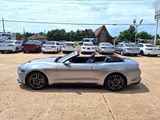 Used 2022 Ford Mustang Premium image 6