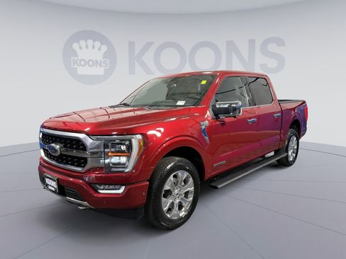 Used 2021 Ford F150 Platinum w/ Equipment Group 701A High AWD/4WD image 1