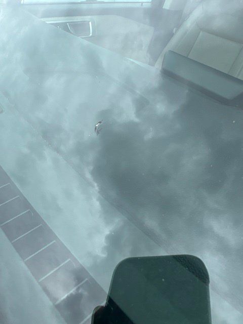 Used 2021 Ford Explorer XLT w/ Equipment Group 202A RWD image 7