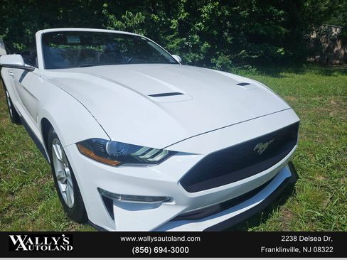 Used 2019 Ford Mustang Convertible image 4