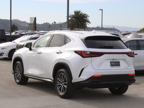 Used 2025 Lexus NX 350h AWD w/ Premium Package image 19