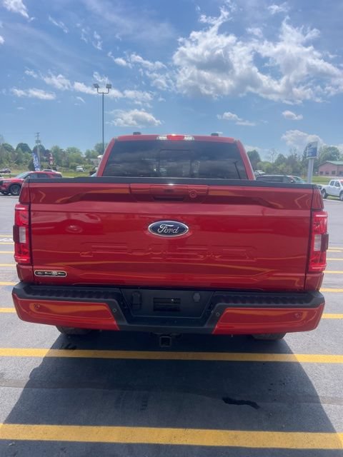 Used 2023 Ford F150 XLT w/ Equipment Group 302A High AWD/4WD image 6