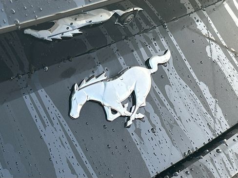 New 2026 Ford Mustang Coupe RWD image 17